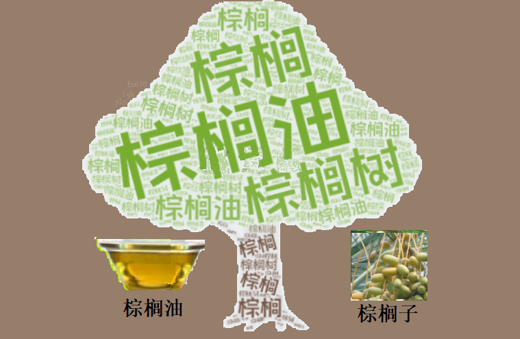 XM官网:棕榈油3940关键位告急!汇率+原油双杀下,多头何时绝地反击?