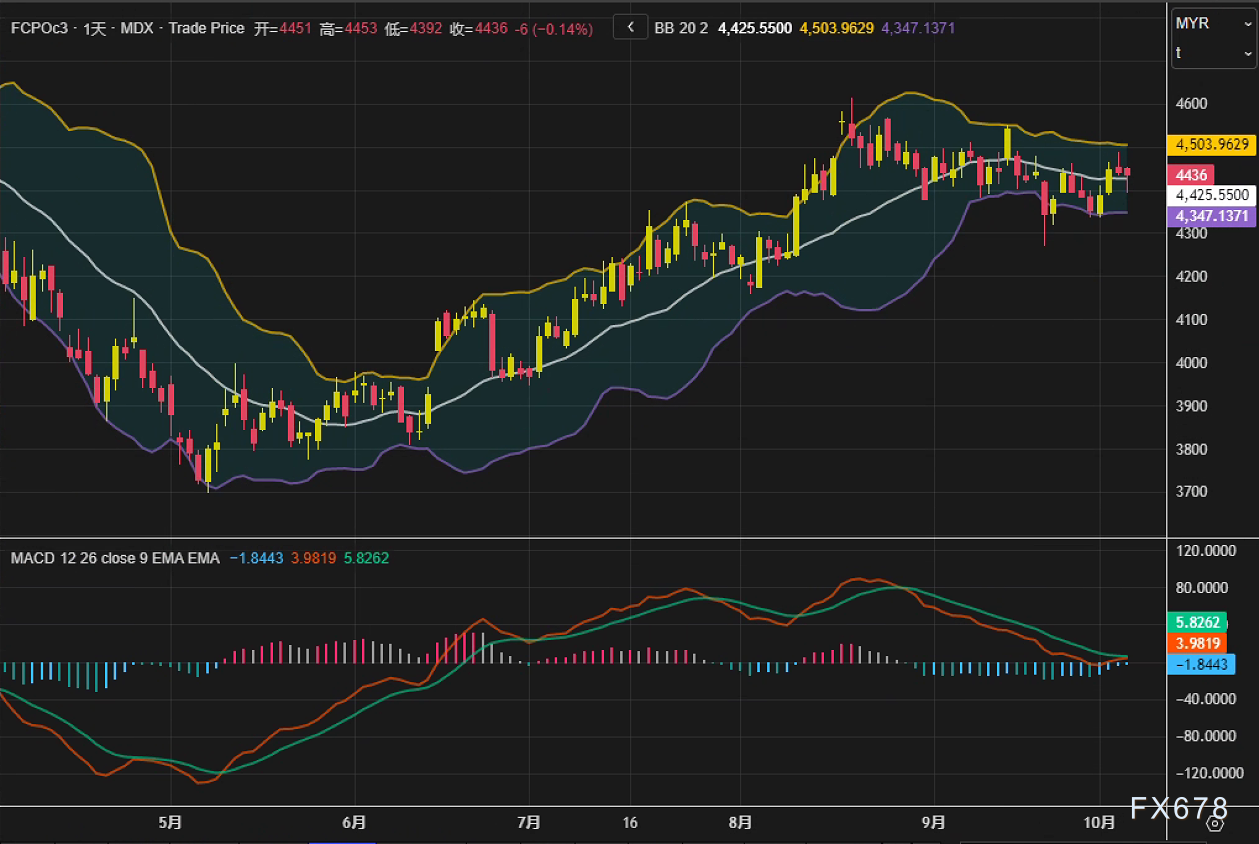 XM官网:棕榈油市场观察:获利了结压制盘面,供应隐忧限制跌幅(图2)