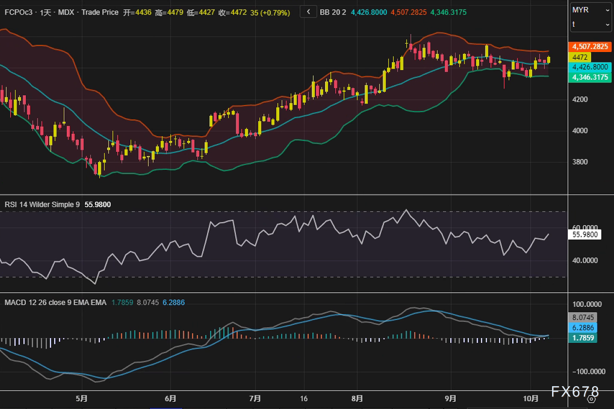 XM平台官网:棕榈油止跌回升:供应收紧预期与豆油走强共筑支撑(图2)