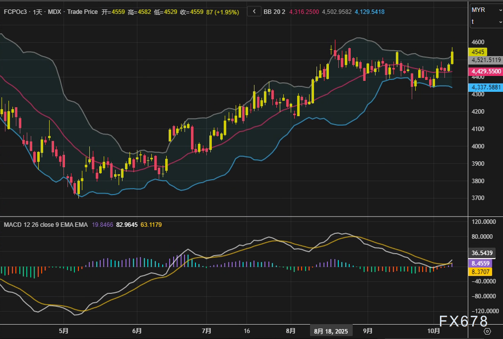 XM官网:棕榈油突破关键技术位,创七周收盘新高(图2)