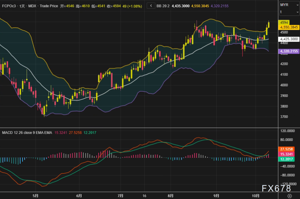XM官网登陆入口:棕榈油市场强势突破,印尼生物柴油政策与连盘油脂共振推升价格(图2)